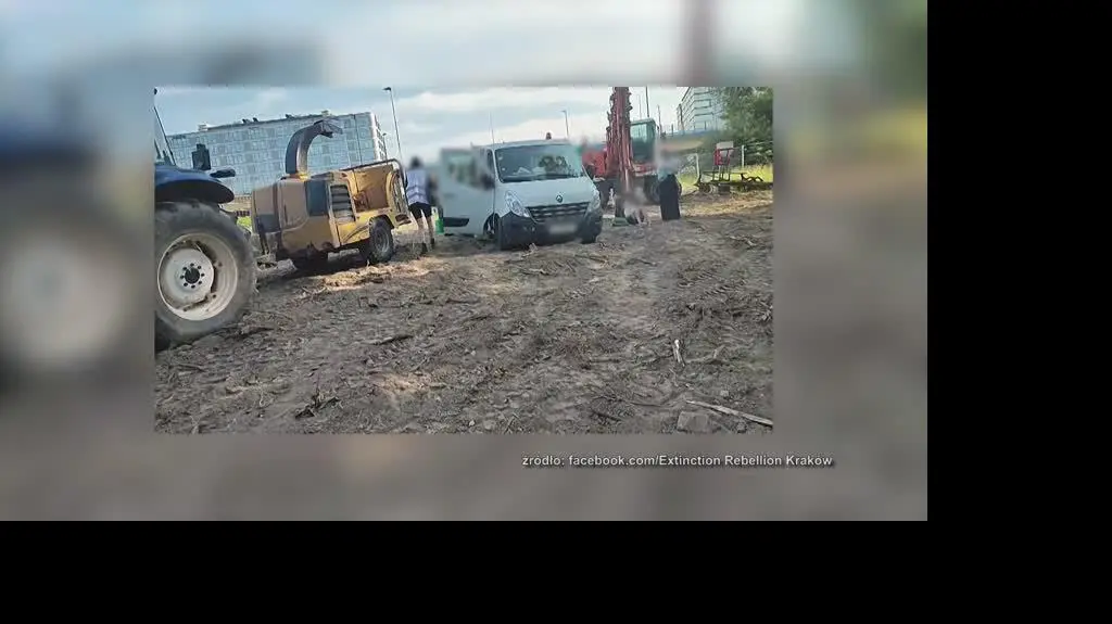Mieszkańcy oburzeni planami wycinki ponad 1000 drzew