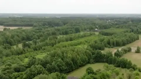 Zbyszek buduje dom