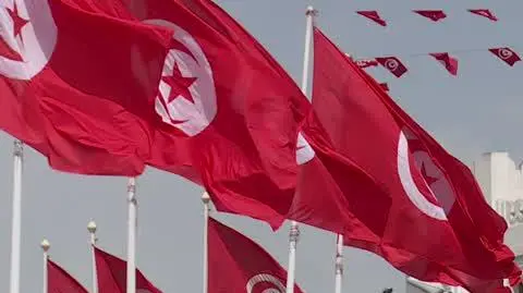 ZAJAWKA TUNEZJA