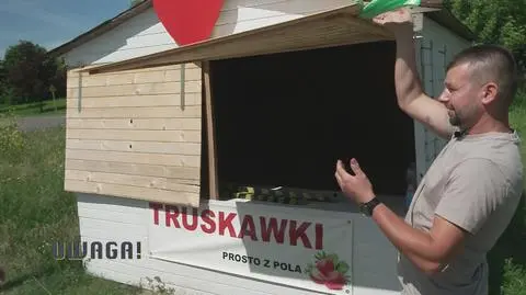 "Truskawkowy" wandal spod Poznania ujęty