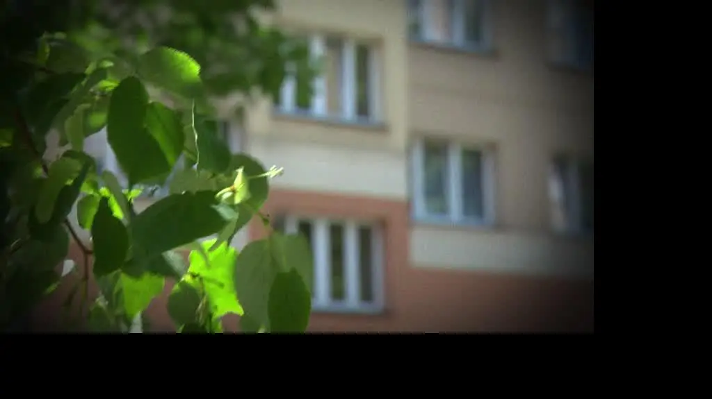 Szatańska loża VIP
