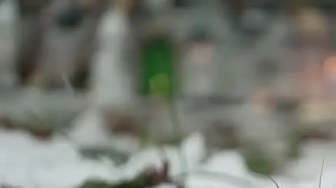 Jak policja szukała Natalii?