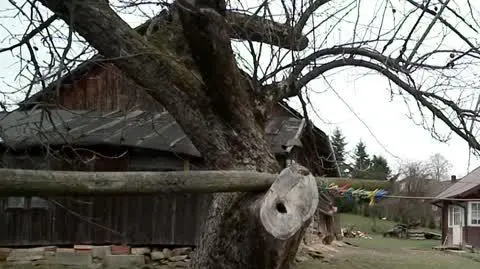 Choroba zmienia jego rodzinę