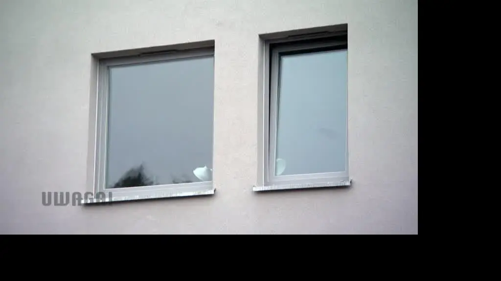 BLIZNIACZKI CZ2
