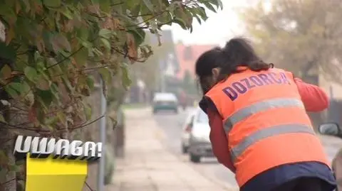Program "Dozorca"