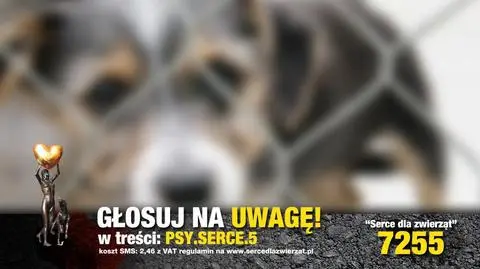 UWAGA! nominowana do nagrody „Serce dla zwierząt”