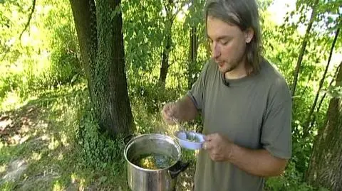 Zupa z chwastów
