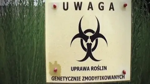 Komu zależy na wprowadzeniu żywności GMO na nasze stoły?