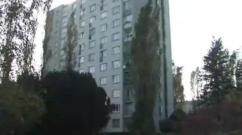 Wyrzucił psa przez okno