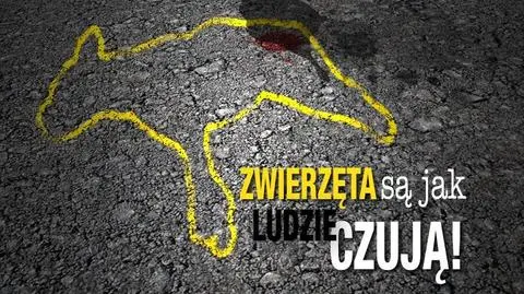 Uwaga! zmienia rzeczywistość