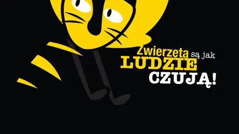 Zwierzęta czują! Tapety do ściągnięcia!