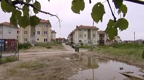 Zamienić trawnik w skwer