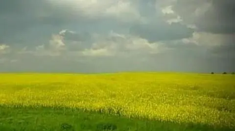 Ustawa z obcym genem zawetowana