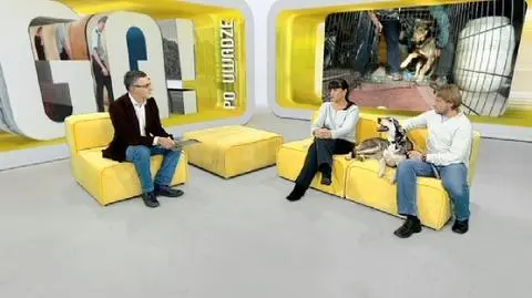 Zawód hycel. Czy jest potrzebny?