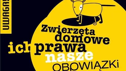 Ich prawa, nasze obowiązki