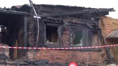 Afera dębowa pod Wołczynem. Jest wyrok