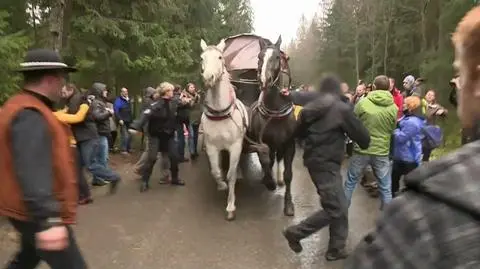 Nowe przepisy ws. koni z Morskiego Oka