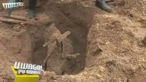 "Zwierzeta są jak ludzie. Czują!"