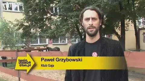 Kolejny koń do pomocy chorym dzieciom