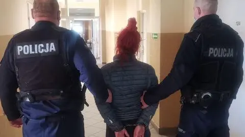 Gdańsk. 46-letnia kobieta miała wyrzucić kota przez okno na 3 piętrze