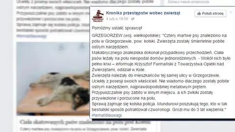 #tematdlauwagi Zabite cztery psy. Za wskazanie sprawcy nagroda