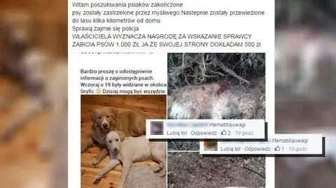 #tematdlauwagi Psy znalezione martwe w lesie