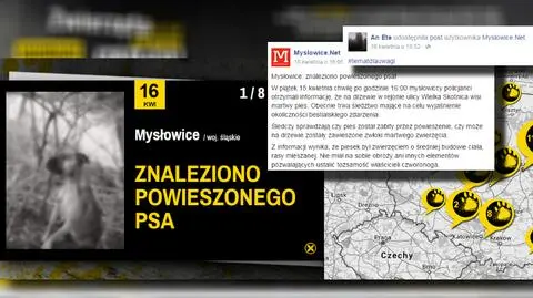Pies powieszony na drzewie