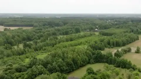 Zbyszek buduje dom