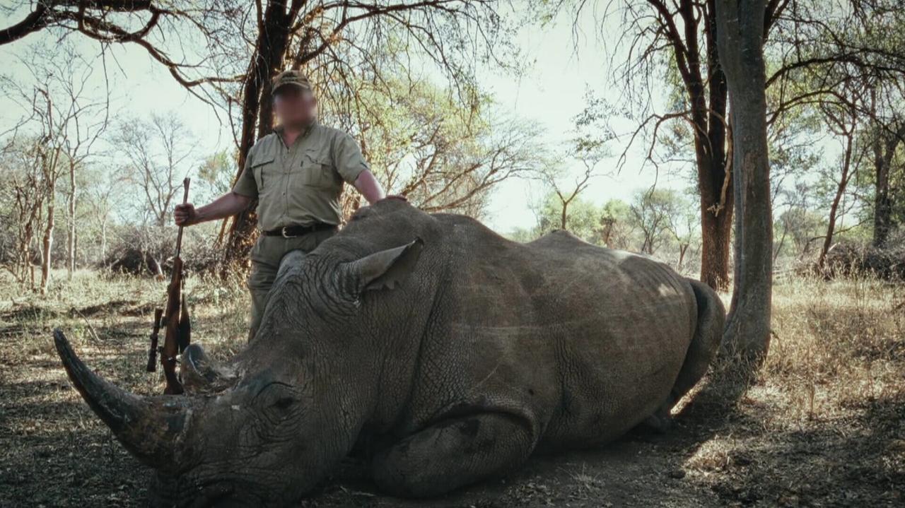 Kto zarabiał na polowaniach na nosorożce i co robili tam polscy myśliwi?