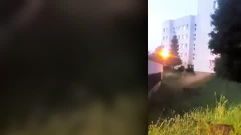 Dziki wchodzą do miast