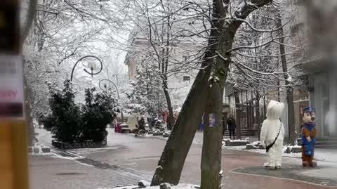 Miś w Krupówek