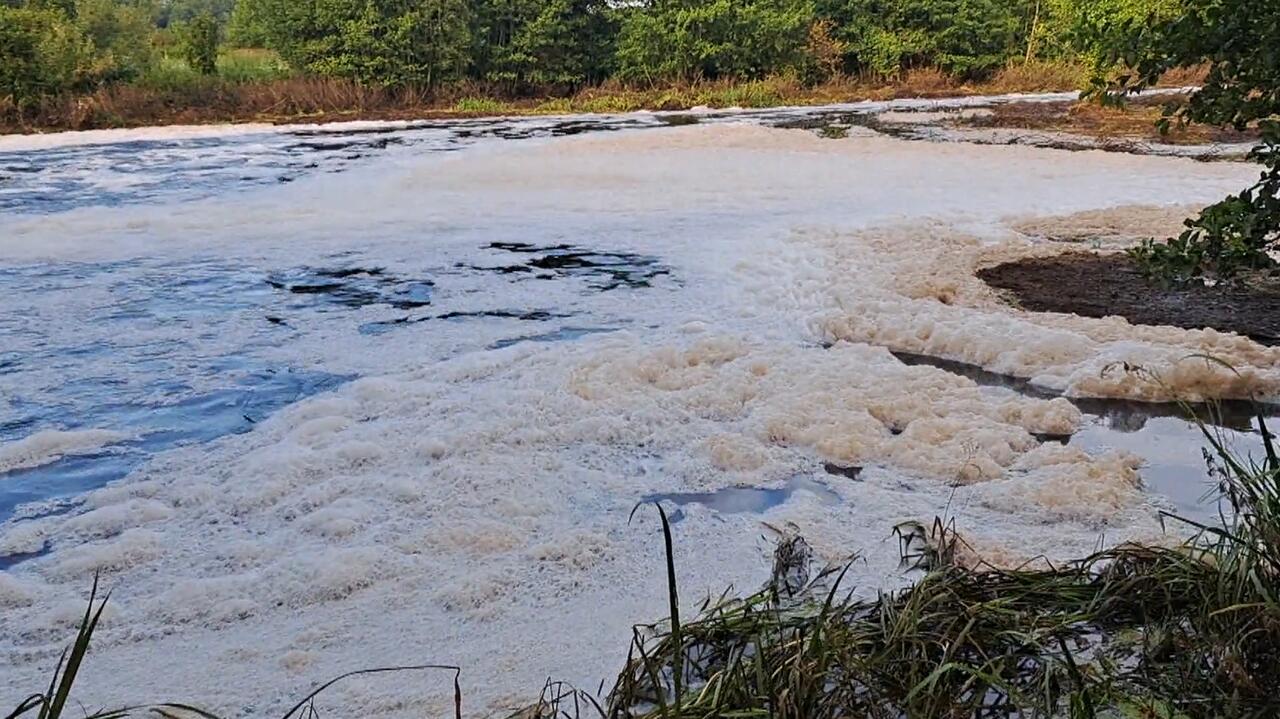 Katastrofa ekologiczna na Wkrze
