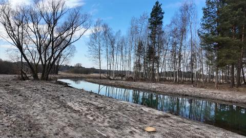 Były wójt przekopał teren Natura 2000?