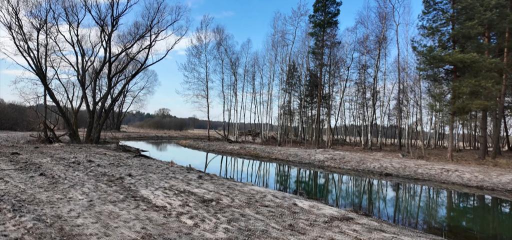 Były wójt przekopał teren Natura 2000? "Chce pływać kanałem na rybkę"