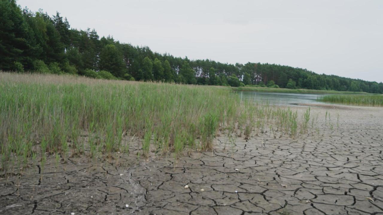 Spuścił wodę z historycznych stawów i wsypał do nich gruz. Jest akt oskarżenia