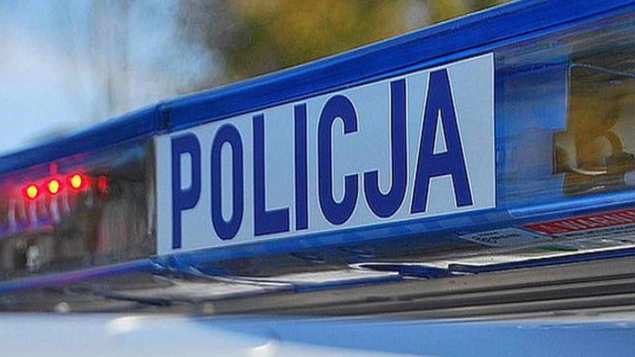 Gdy zobaczył, iż jego partnerka próbuje wezwać policję, zemścił się na psie. 3-letni amstaff nie przeżył