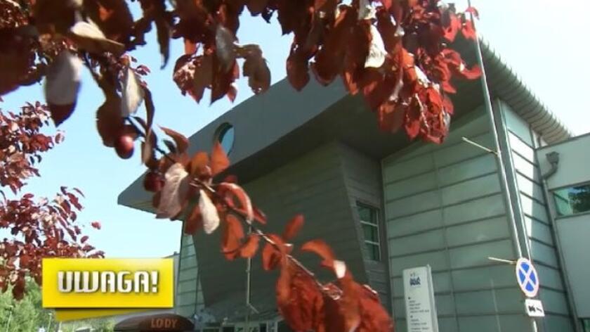 TVN UWAGA! 3644048